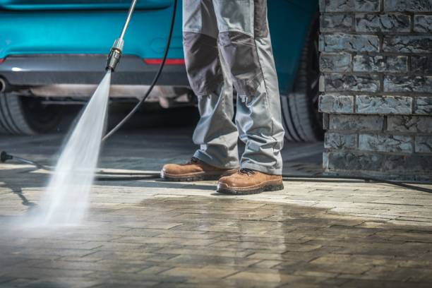 Best Building Exterior Washing  in Paris, TX