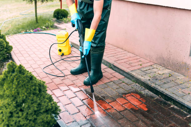 Best House Exterior Washing  in Paris, TX
