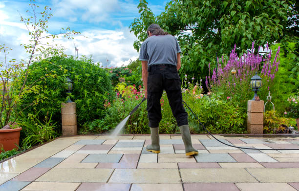 Best Winterizing Services  in Paris, TX