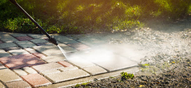 Best Fence Cleaning  in Paris, TX