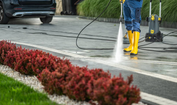 Best Dumpster Area Cleaning  in Paris, TX